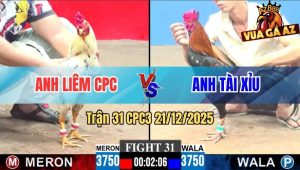 Trận 31 CPC3 21/12/2025