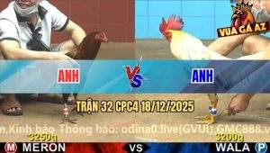 Trận 32 CPC4 18/12/2025