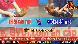 Trận 1 CPC5 22/12/2025