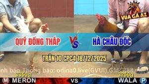 Trận 10 CPC4 18/12/2025