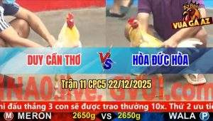 Trận 11 CPC5 22/12/2025