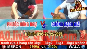 Trận 13 CPC5 22/12/2025