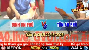Trận 14 CPC5 22/12/2025
