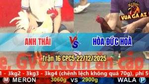 Trận 16 CPC5 22/12/2025