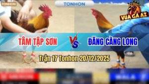 Trận 17 Tonhon 20/12/2025