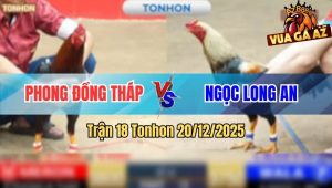 Trận 18 Tonhon 20/12/2025