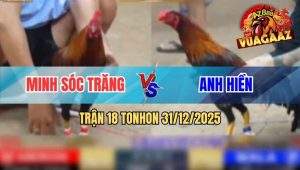 Trận 18 Tonhon 31/12/2025