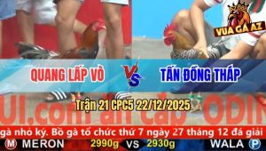 Trận 21 CPC5 22/12/2025