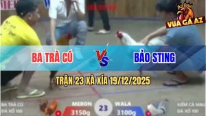 Trận 23 Xà Xía 19/12/2025