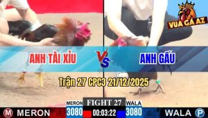 Trận 27 CPC3 21/12/2025
