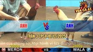 Trận 3 CPC4 18/12/2025