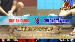 Trận 41 CPC4 17/12/2025