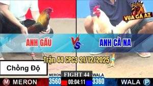 Trận 44 CPC3 21/12/2025