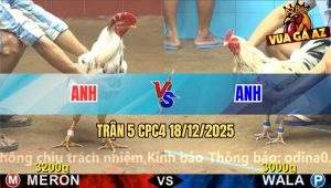 Trận 5 CPC4 18/12/2025