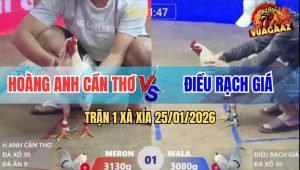 Trận 1 Xà Xía 25/1/2026 - Bướm Anh Kiểm Mở Bát Đá Xanh Té Bại Liệt