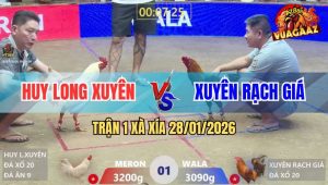 Trận 1 Xà Xía 28/1/2026 - Khét Anh Kiểm Bị Bướm Cho Ăn Hành Ngập Mặt
