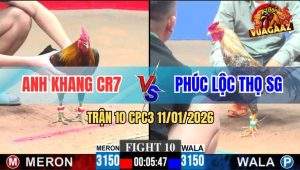 Trận 10 CPC3 11/1/2026 - Gà Cú Có Phúc Lộc Thọ Nhưng Thiếu May Mắn