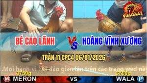 Trận 11 CPC4 6/1/2026 - Cú Kêu Điều Đạp Mấy Chân, Cú Chạy Mất Dép