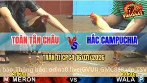 Trận 11 CPC4 16/1/2026 - Que Lẹ Như Tên Bay Đá Úa Chạy Không Kịp Thở