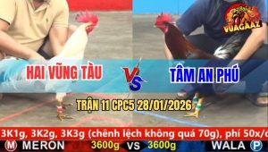 Trận 11 CPC5 28/1/2026 - Úa Dẫn Tang, Vô Trong Điều Đá Ói Cơm