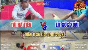 Trận 11 Xà Xía 12/1/2025 - Điều Đâm Bướm Mu Lưng, Máu Lỏng Tuôn Trào