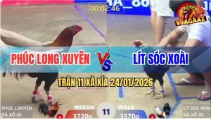 Trận 11 Xà Xía 24/1/2026 - Chuối Đâm Lút Kim, Điều Ra Máu Xỉu Tại Ô