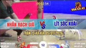 Trận 12 Xà Xía 5/1/2026 - Bướm Anh Lít Sóc Xoài Đâm Không Rớt Chân