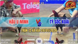 Trận 12 Xà Xía 24/1/2026 - Đỏ Chịu Đòn Phản Một Cây Lấy Luôn Mạng Xanh