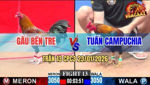 Trận 13 CPC3 23/1/2026 - Điều Chân Trắng Dí Ăn 6 Và Cái Kết Hộc Máu