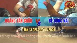 Trận 13 CPC4 17/1/2026 - Điều Mống Lá Má Mồng Dâu Đâm Đâu Thấm Đó