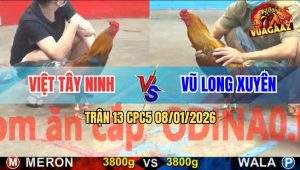 Trận 13 CPC5 9/1/2026 - Điều Đỏ Sút Cây Cần Xanh Đăng Xuất Tại Chổ