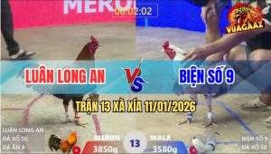 Trận 13 Xà Xía 11/1/2026 - Anh Kiểm Cà Mau Thất Thủ Trước Anh Luân