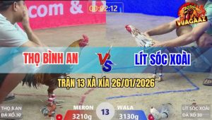 Trận 13 Xà Xía 26/1/2026 - Anh Lít Sóc Xoài Hạ Luôn Chủ Bồ