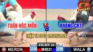 Trận 14 CPC3 29/1/2026 - Điều Anh Khang Chặn 1 Chân Bướm Chết Đứng