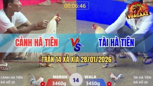 Trận 14 Xà Xía 28/1/2026 - Vô Kính Bướm Đâm Cây Hiểm Gà Cú Tốc Chạy