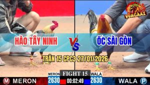 Trận 15 CPC3 27/1/2026 - Gà Chuối Đâm Điều Tơi Tả Vô Trong Bỏ Ô