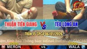 Trận 15 CPC4 6/1/2026 - Điều Anh Tèo Đá Bướm Chạy Cò Cò Bay Bồ