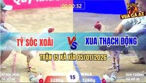 Trận 15 Xà Xía 5/1/2026 - Anh Kẽm Nài Gà Quá Hay, Lật Ngược Tình Thế