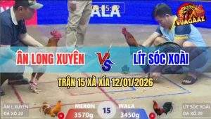 Trận 15 Xà Xía 12/1/2025 - Khét Đuôi Lao Lì Đòn, Đâm Điều Chạy Té Khói