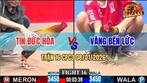 Trận 16 CPC3 8/1/2026 - Hai Con Nhập Vô Ra Chân Hiểm Lọt Chết Cả Đôi