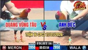 Trận 16 CPC3 11/1/2026 - Xanh Bến Lũi Đửa Đầu Cho Điều Đỏ Đá