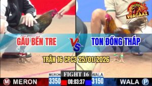 Trận 16 CPC3 25/1/2026 - Que Cọp Anh Gấu Đá 2 Chân Xám Khét Nằm Đống