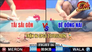 Trận 16 CPC3 27/1/2026 - Úa Anh Tài Có Chân Xạo Lờ Phản 5 Lai Quá Hay