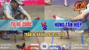 Trận 16 Xà Xía 26/1/2026 - Anh Kiểm Dính Tang Xui, Đưa Anh Em Ra Đảo