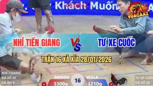 Trận 16 Xà Xía 28/1/2026 - Mái Lại Anh Kiểm Dập Như Máy Khâu