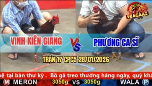Trận 17 CPC5 28/1/2026 - Điều Đỏ Phá Đôi Có Chân Chùa Cứu Chủ Quá Hay