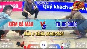 Trận 17 Xà Xía 8/1/2026 - Anh Kiểm Tài Nghệ Thì Có, Gà Chạy Thì Bó Tay