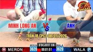 Trận 18 CPC3 8/1/2026 - Điều Đâm Bướm Má Minh Đứng Không Nổi