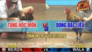 Trận 18 CPC4 12/1/2025 - Gà Cú Anh Dũng Nện Gà Que Như Búa Đóng Đinh