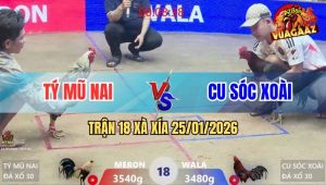 Trận 18 Xà Xía 25/1/2026 - Chuối Đen Anh Kiểm Đang Thắng Lại Chạy Sảng